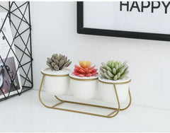 White Ceramic Succulent Planter Trio with Metal Sleigh Stand