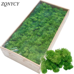 20/40g Artificial Green Plants Eternal Life Moss Grass Home Living Room Garden Decoration Mini Landscape Fake Flower DIY Crafts