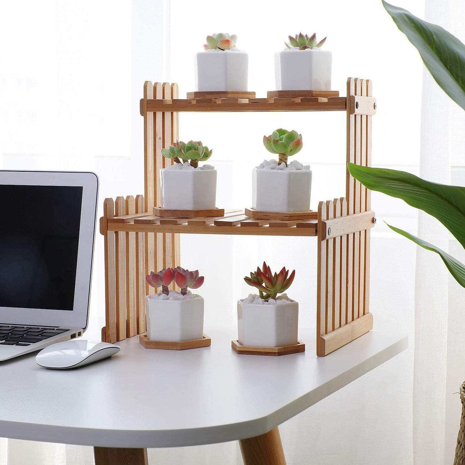 Hexagon Ceramic Succulent Planter with Bamboo Saucer