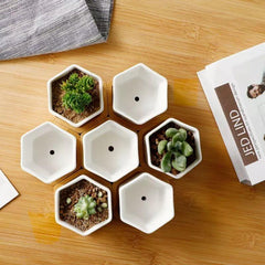 Hexagon Ceramic Succulent Planter with Bamboo Saucer