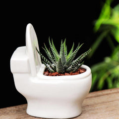 Handmade Ceramic Toilet Succulent Planter