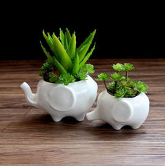 Ceramic Elephant Succulent Planter